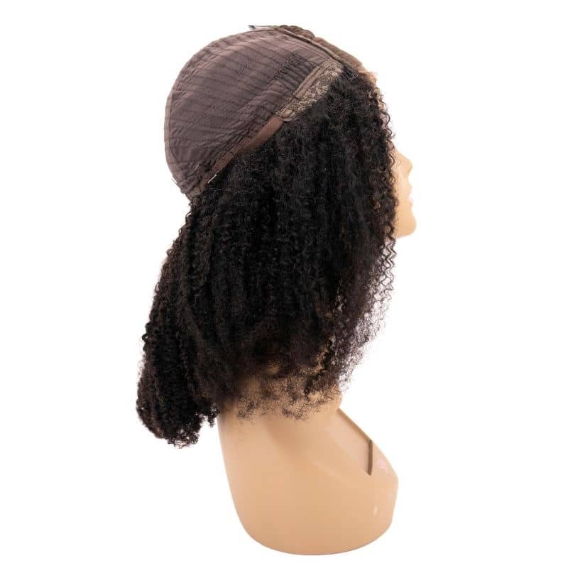 Brazilian Afro Kinky Transparent Closure Wig - The Platinum Extensions