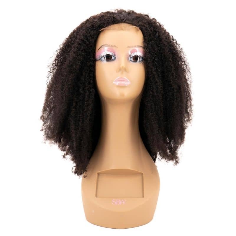Brazilian Afro Kinky Transparent Closure Wig - The Platinum Extensions