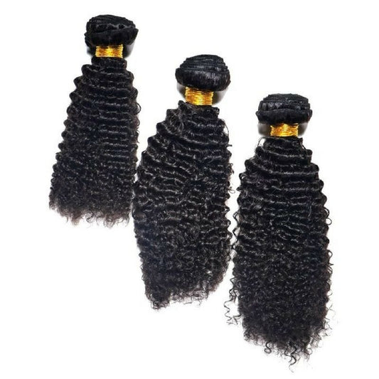 Brazilian Afro Kinky Bundle Deals - The Platinum Extensions 