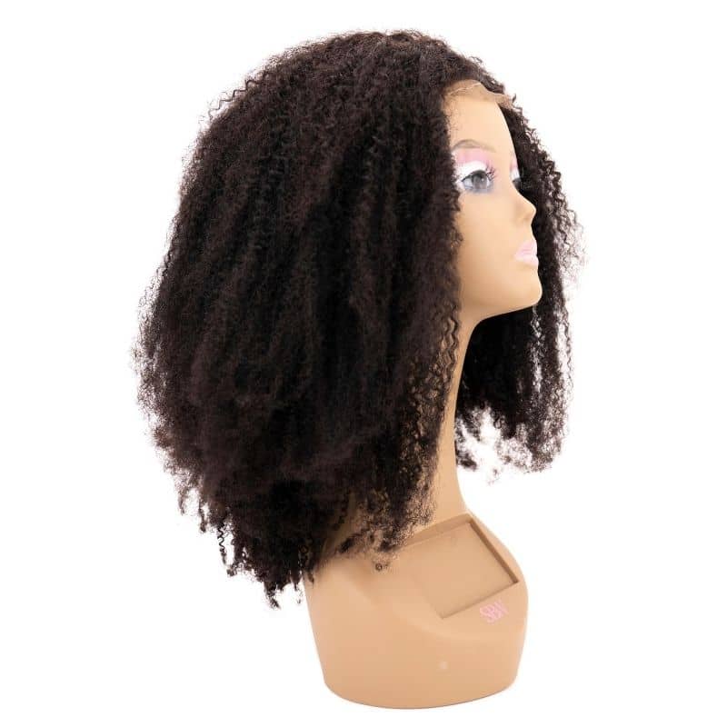 Brazilian Afro Kinky Transparent Closure Wig - The Platinum Extensions 