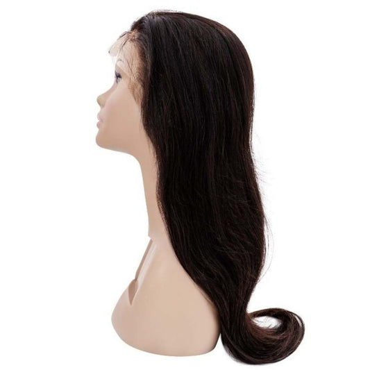Brazilian Straight Lace Front Wig - The Platinum Extensions 