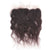 Raw Indian Curly Transparent Frontal - The Platinum Extensions